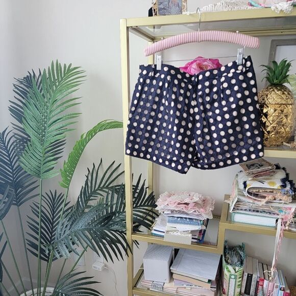 Ann Taylor Blue and Cream Eyelet Shorts - Picture 7 of 11